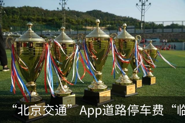 “北京交通”App道路停车费“临时代缴”实现跨区合并支付