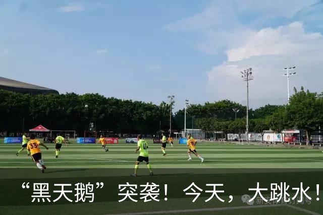 “黑天鹅”突袭！今天，大跳水！