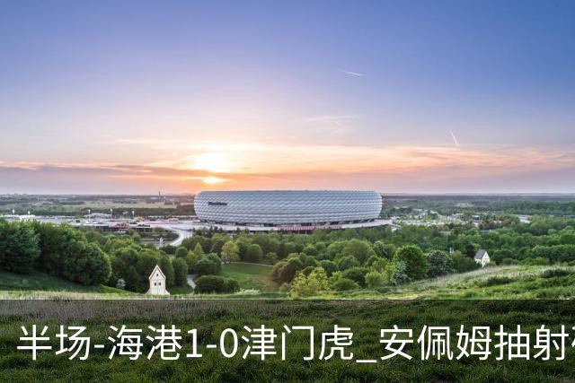 半场-海港1-0津门虎 安佩姆抽射破门莱昂纳多献助攻黄嘉辉失单刀