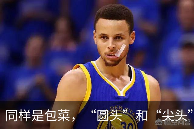 同样是包菜，“圆头”和“尖头”的区别很大，知道后别再乱买