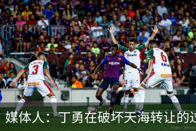 媒体人：丁勇在破坏天海转让的过程中曾拉刘奕下水