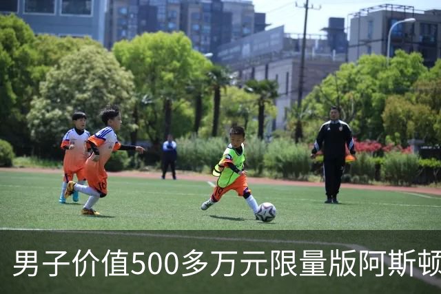 男子价值500多万元限量版阿斯顿马丁被撞，肇事网约车全责，司机无奈：无商业险，只能分期赔付；平台：愿意承担最低20%至全额责任