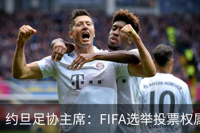 约旦足协主席：FIFA选举投票权属各协会，大洲足联主席无权置喙